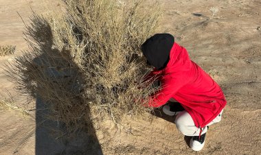 Загийн үүрийн судалгааны ажлыг зохион байгууллаа